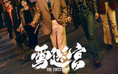 雪迷宫 (2024) 1080P 4k 悬疑 犯罪【更新21】[免费在线观看][免费下载][网盘资源][国产影视]