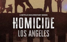 凶案：洛杉矶篇 Homicide Los Angeles (2024) 1080P【全5集】[免费在线观看][免费下载][网盘资源][欧美影视]